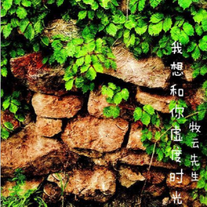寥寥刺身虚度吉他谱