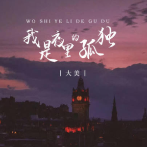 关于孤独我说的话吉他谱