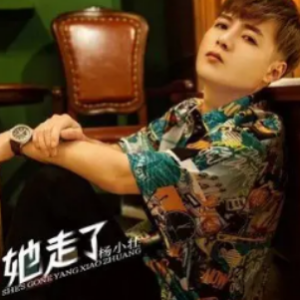 想起了她吉他谱