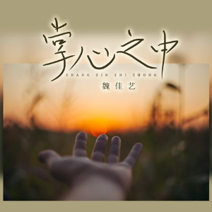 军中之军吉他谱