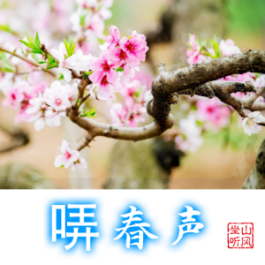 哢春声钢琴简谱 数字双手 吃琴斯
