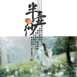 半壶纱钢琴简谱 数字双手 刘珂矣/百慕三石