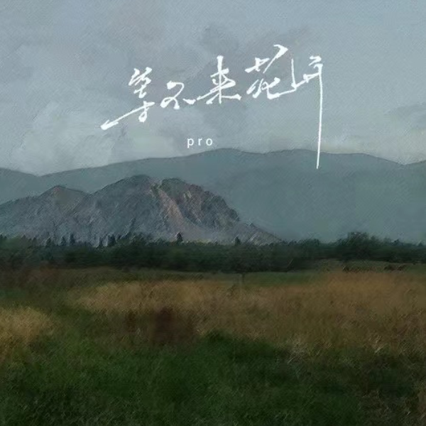 等不到花开