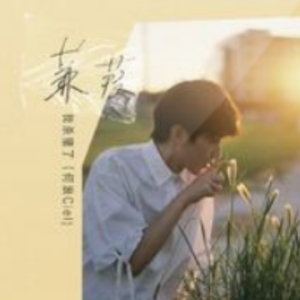 孙琦蒹葭吉他谱