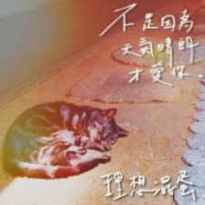 爱因为在心中吉他谱图片