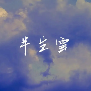 半生雪（C调简易版）