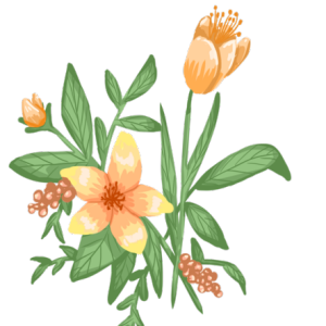 紫阳花吉他谱6