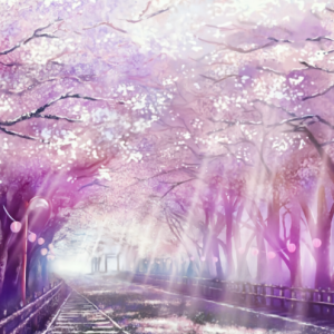 花空-邱有句-钢琴谱