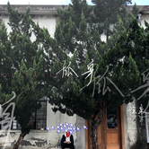 徐秉龙吉他谱17