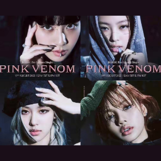 Pink Venom钢琴简谱 数字双手 TEDDY/24/R.Tee/IDO