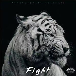 Fight（高燃片段）钢琴谱