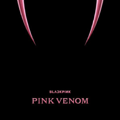 Pink Venom钢琴简谱 数字双手 TEDDY/Danny Chung