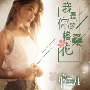 我是你的格桑花