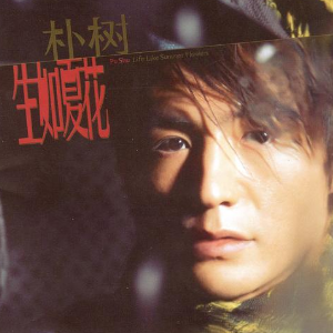 生如夏花吉他谱原调