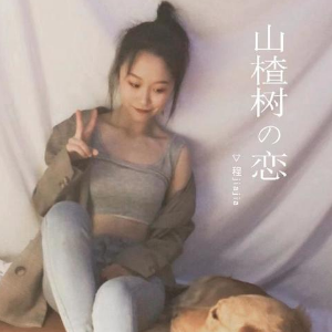 山楂树c调吉他谱指弹