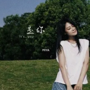 如果是你吉他谱