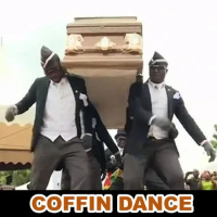 Coffin-Dance(黑人抬棺歌）