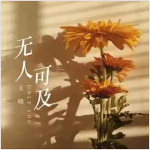 收场王晴吉他谱