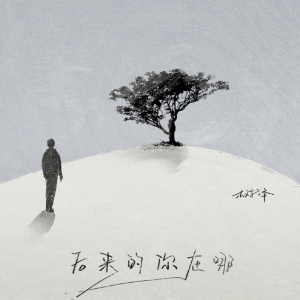后来的你在哪-C调简单版-钢琴谱