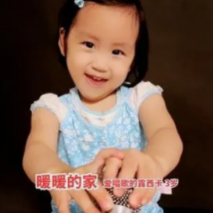 家入 的吉他谱