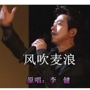 音伴风吹麦浪吉他谱分享