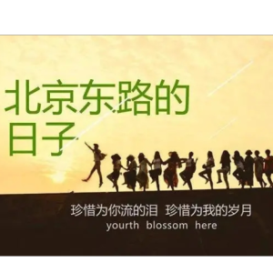 卓玛六线吉他谱
