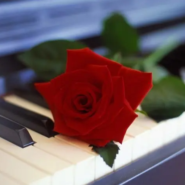 Red Rose Rendezvous（红玫瑰的约会）-钢琴谱