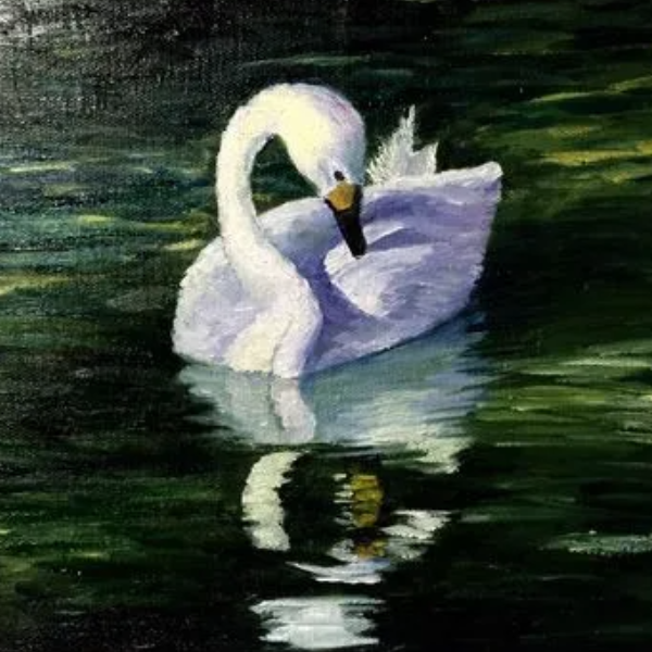 天鹅（The Swan）简易版-钢琴谱