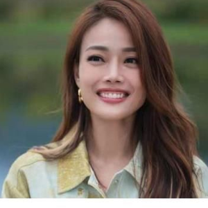 续集