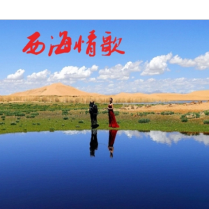刀郎西海情歌吉他谱