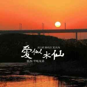爱似水仙 C调精简版-钢琴谱