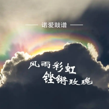 风雨彩虹铿锵玫瑰-钢琴谱
