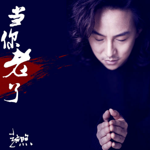 你老了吉他谱简单版