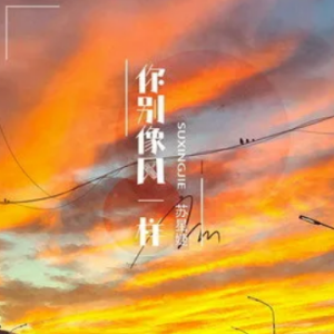 和你一样吉他谱指弹
