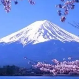 富士山下的钟无艳-钢琴谱