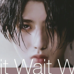 wait wait wait-蔡徐坤-钢琴谱