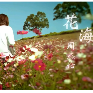 周杰伦花海G调版-钢琴谱