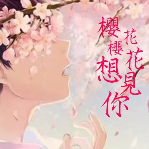 樱花樱花，想见你-D-高野健一 【中级难度】原调 吱吱编配