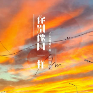 你别像风一样-带歌词-苏星婕-钢琴谱