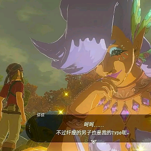 塞尔达传说荒野之息
