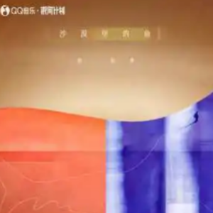 寻水的雨吉他谱
