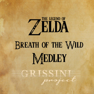 Breath Of The Wild Medley（Legend of Zelda）-钢琴谱