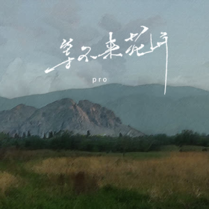 花开花落吉他谱教学