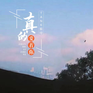 我曾用心爱着你简谱