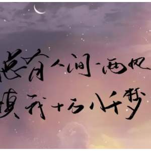 总有人间一两风，填我十万八千梦。钢琴简谱 数字双手