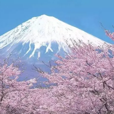 【钢琴】陈奕迅《富士山下》“谁能凭爱意要富士山私有”-钢琴谱