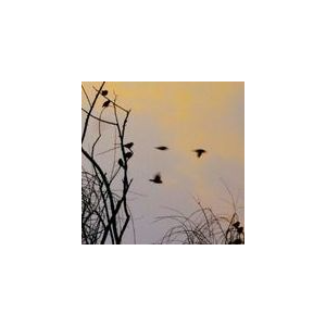 小星星洗澡-幼儿歌曲