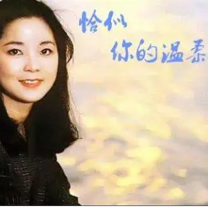 啥是你的温柔的吉他谱
