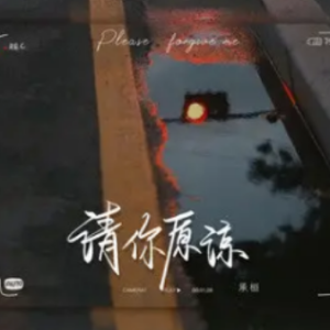 请播放吉他谱图片