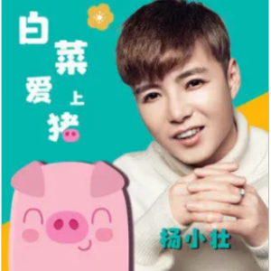 阿珍爱上了阿强吉他谱